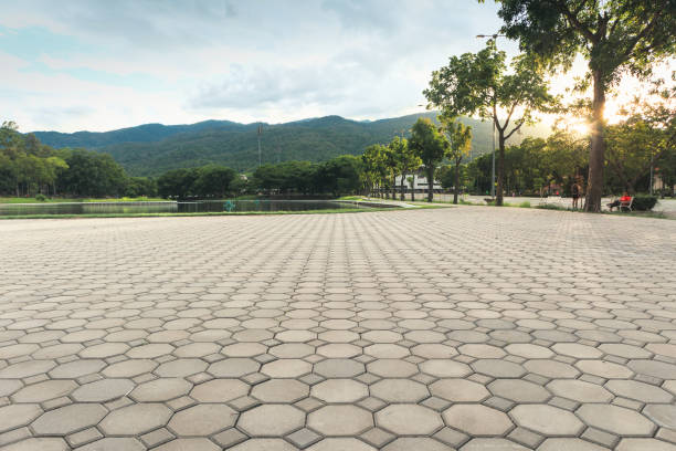 Best Professional Driveway Pavers  in Port Angeles East, WA